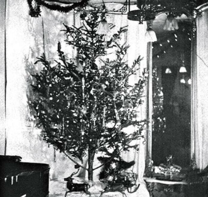 christmas-tree-1882 Oh Christmas tree