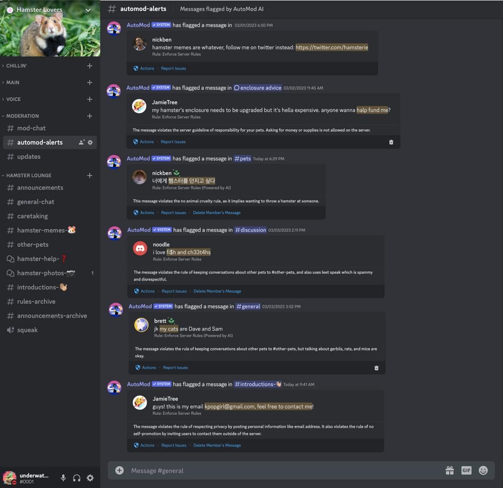 Discord AI AutoMod