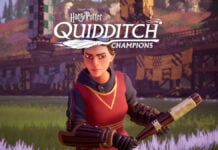Quidditch Champions