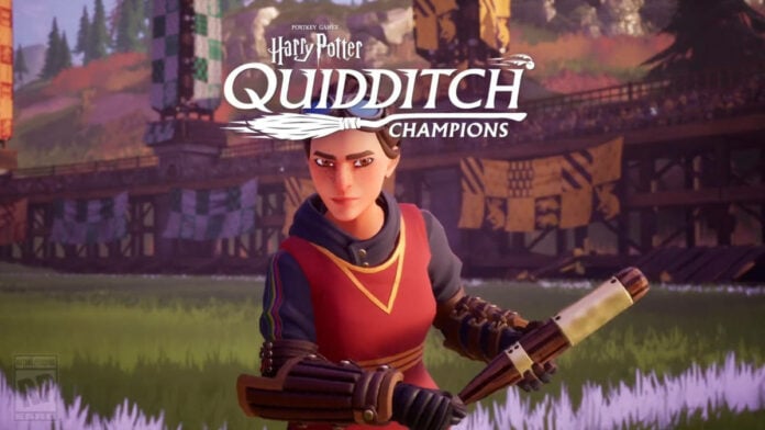 Quidditch Champions