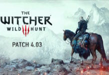 Patch 4.03 The Witcher