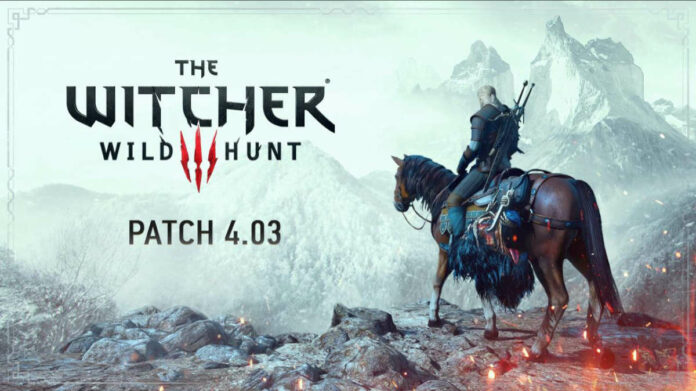 Patch 4.03 The Witcher