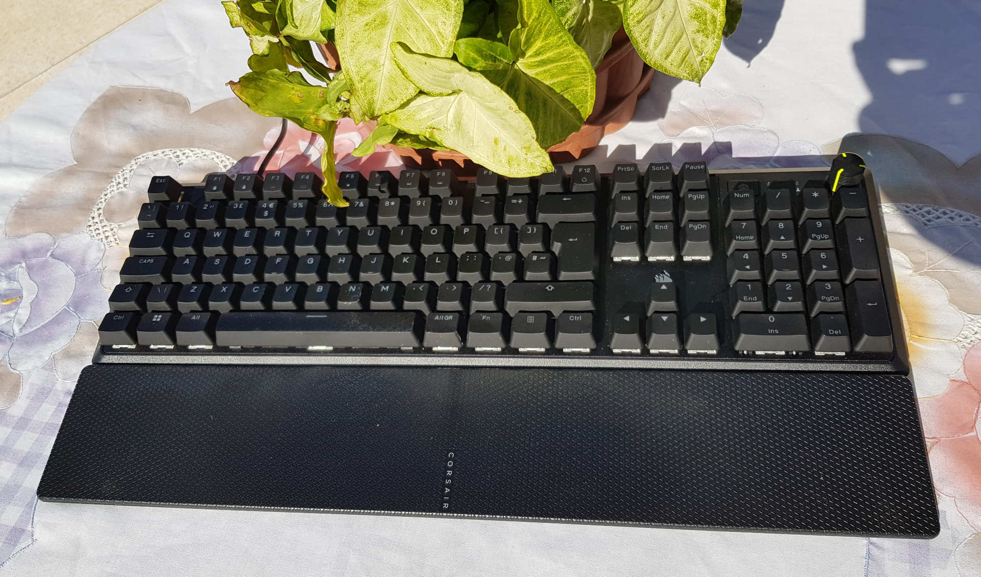 Corsair K70 Core RGB mechanical keyboard near a green plant.