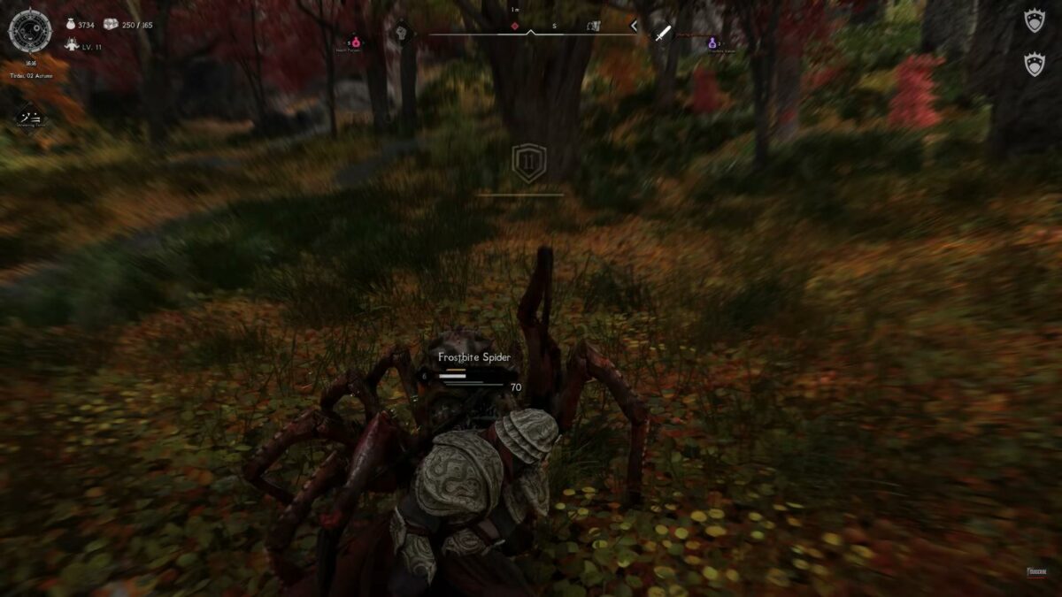 Spider fight in modded The Elder Scrolls V Skyrim.