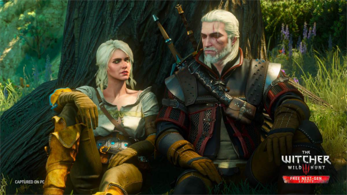 The Witcher - A Father and daughter tale