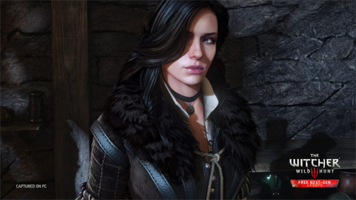 The Witcher - the beautiful Yennefer