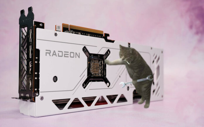 A cat fixing a Sapphire Pure RX 7900 GRE graphics card.