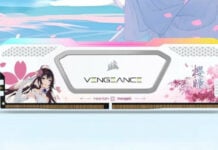Corsair DDR5 RAM with Sakura theme.