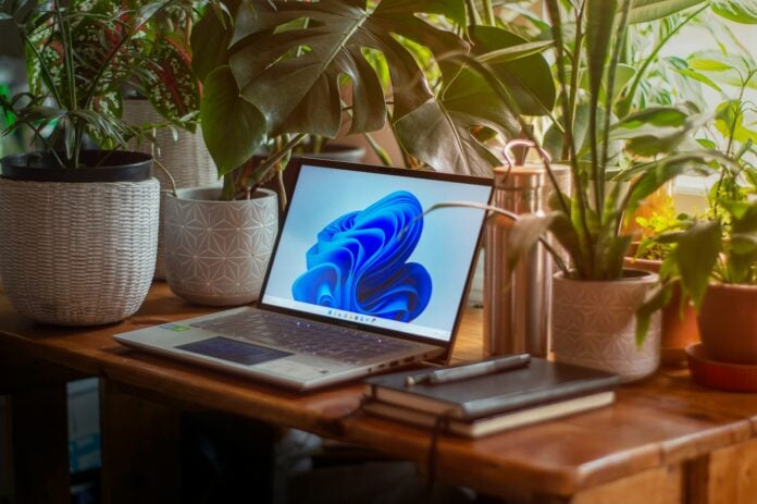 A Windows laptop sitting on a wooden desk, surrounded by gorgeous greenery.