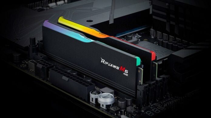 Black G.Skill Ripjaws M5 RGB DDR5.