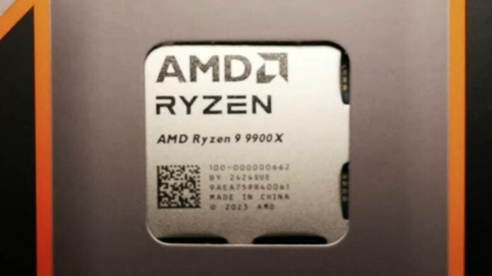 AMD Ryzen 9 9900X.