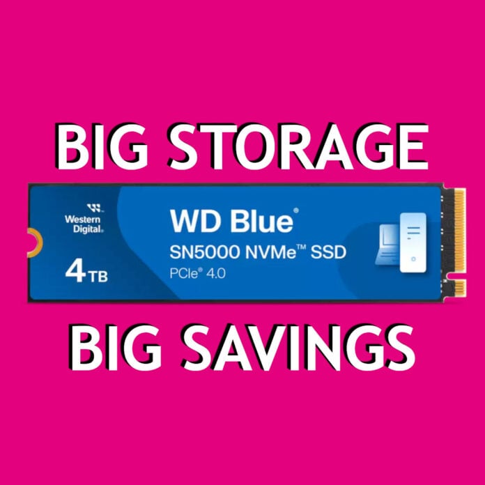 WD Blue SN5000 SSD against a pink background, surrounded by the text 'Big Savings' (bottom) and 'Big Storage' (top).