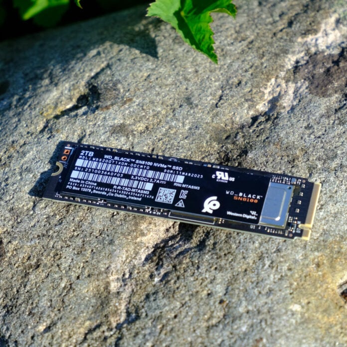 WD_Black SN8100 resting against a stone, with greenery encroaching from the top.