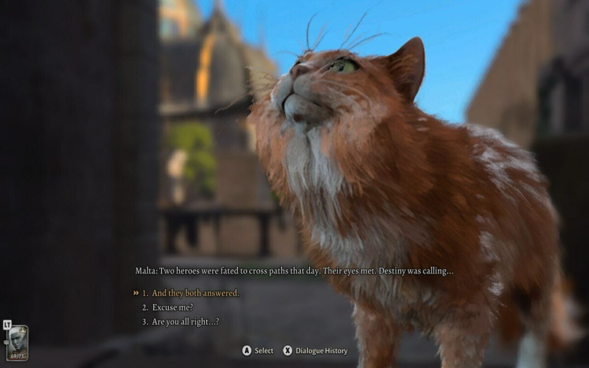 Baldur's Gate 3 cat on Steam Deck with Medium settings.