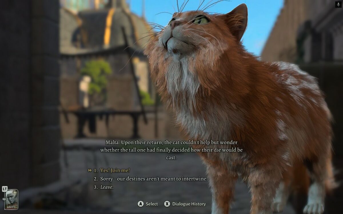 Baldur's Gate 3 cat on Steam Deck via Nvidia GeForce Now.