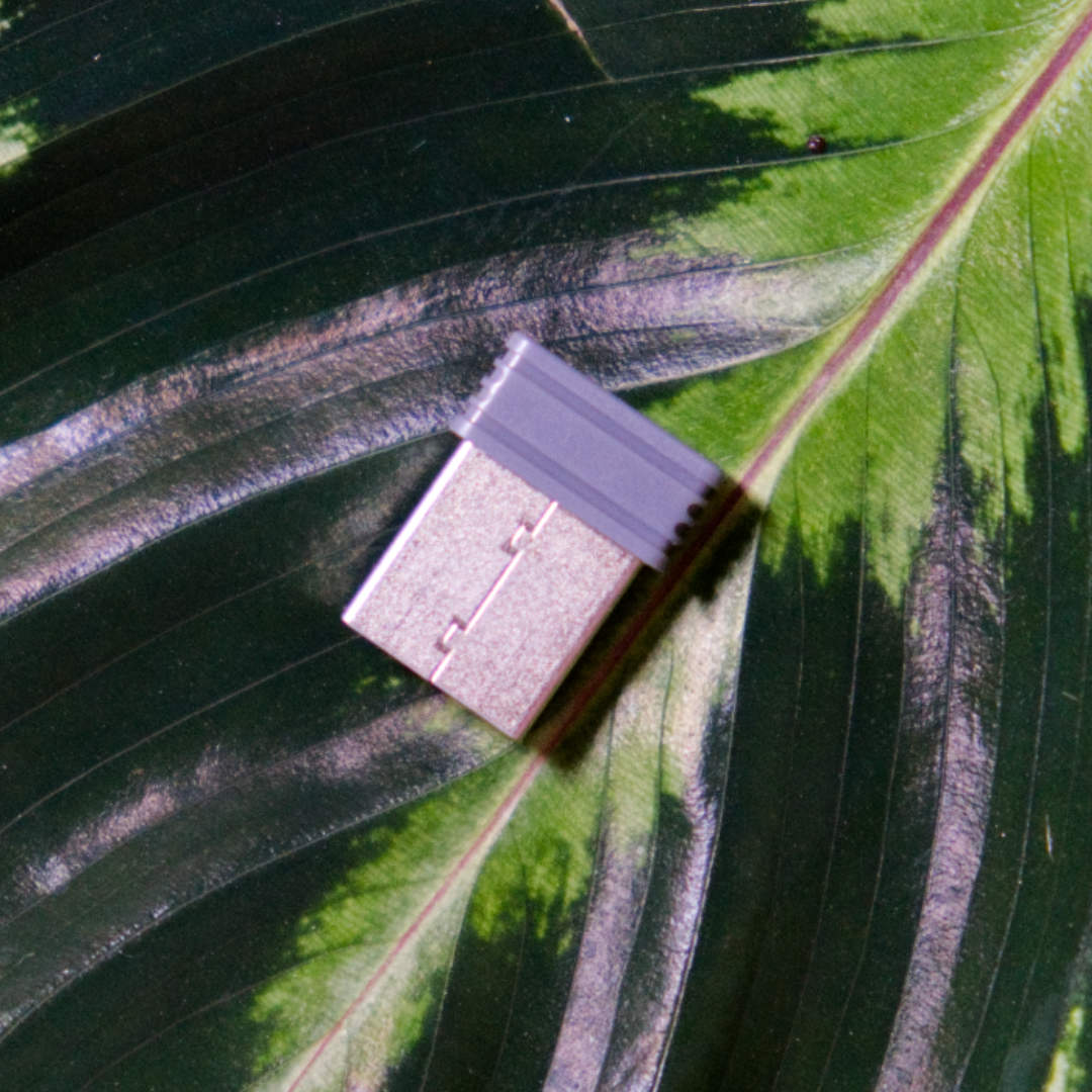 Endorfy Celeris 1800 wireless receiver sitting on a leaf.