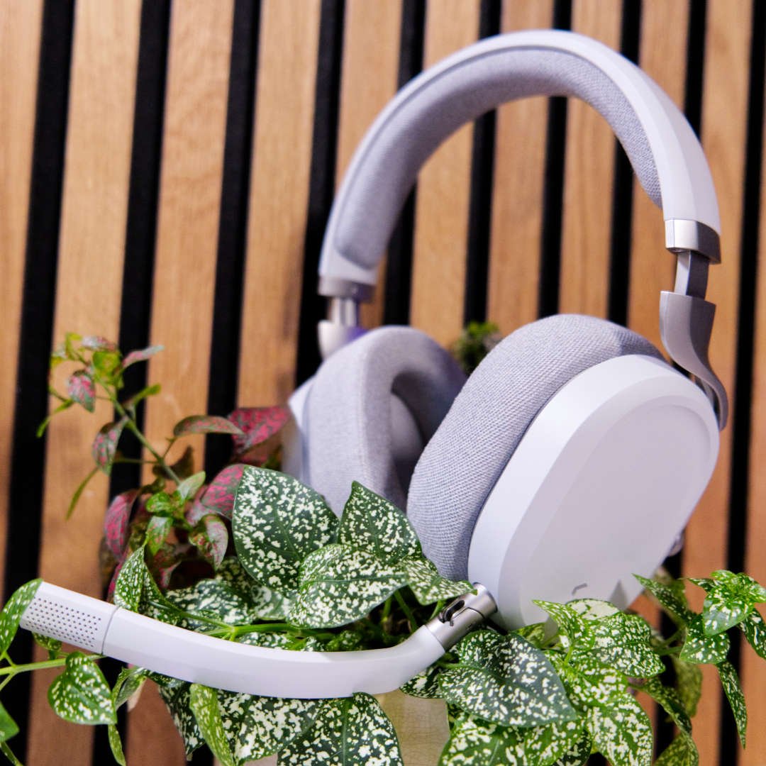Fractal Design Scape posing on top of a plant.