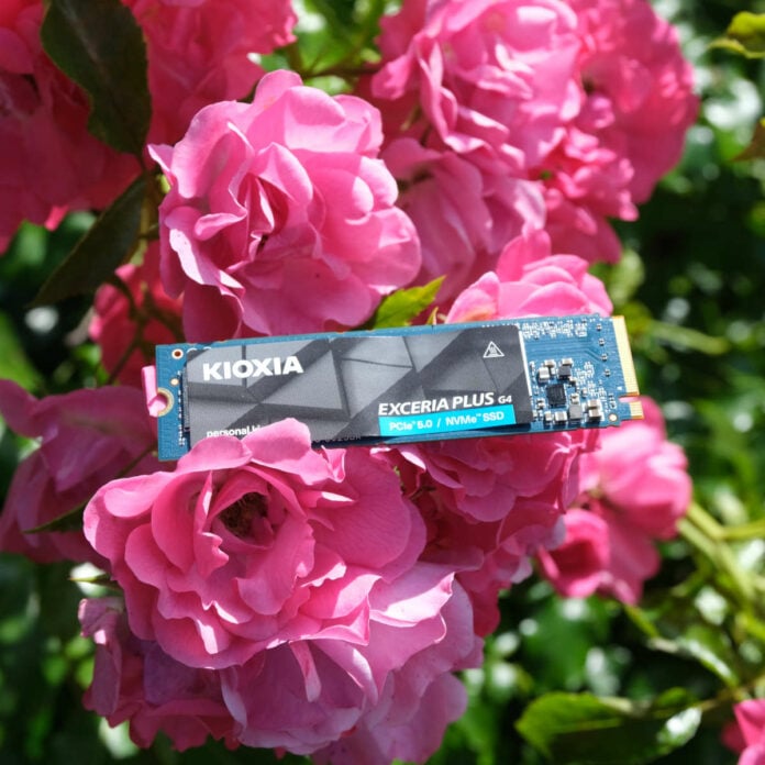 Kioxia Exceria Plus G4 2TB SSD rests on a bed of pink flowers.
