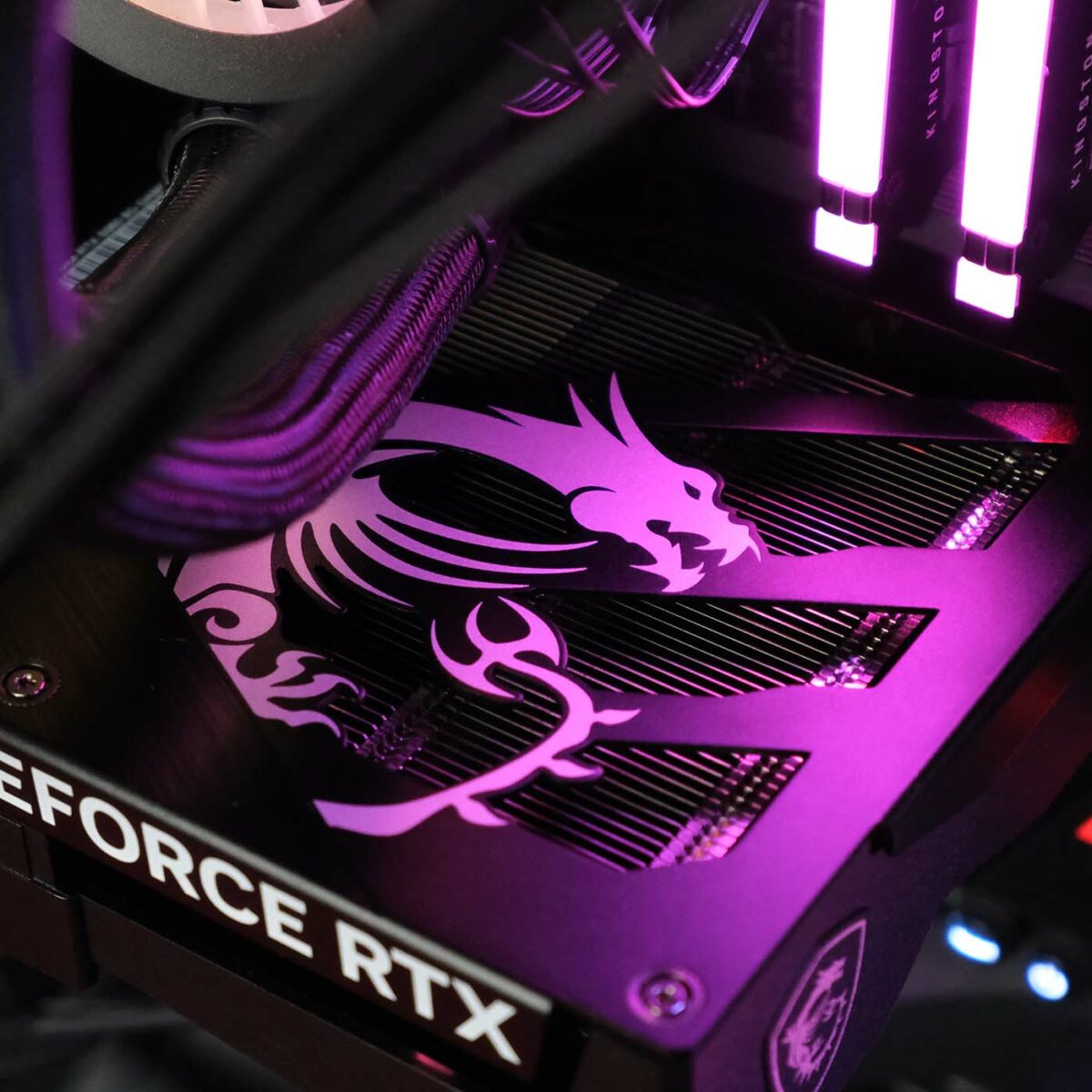 Close up of MSI dragon logo on the backplate of GeForce RTX 5060 Gaming OC, soaked in purple light.
