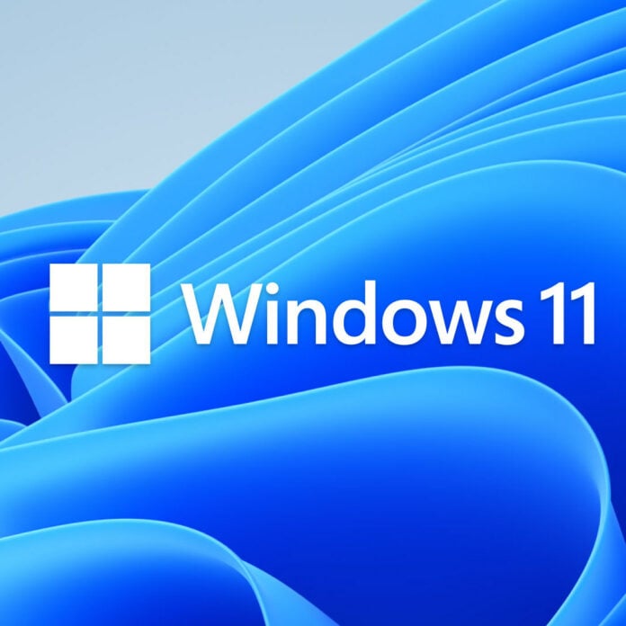 Windows 11 logo atop its bloom icon.