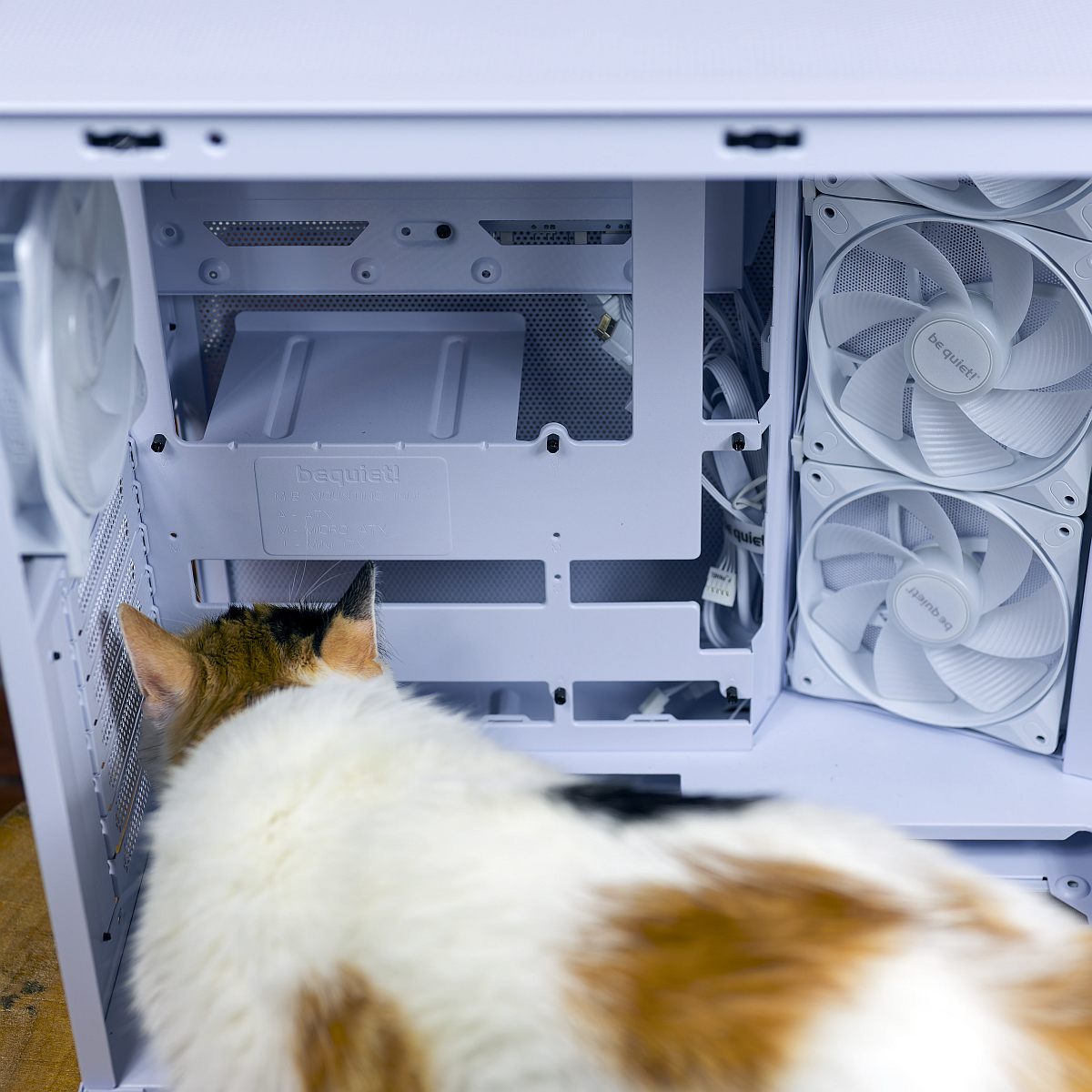 be quiet! Light_Base 500 LX cat view