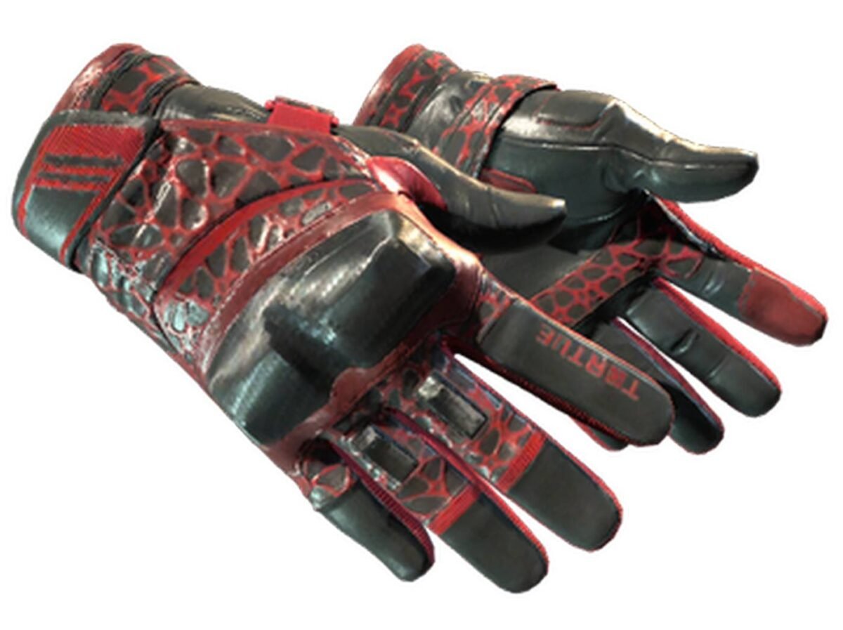 Counter-Strike 2 gloves.