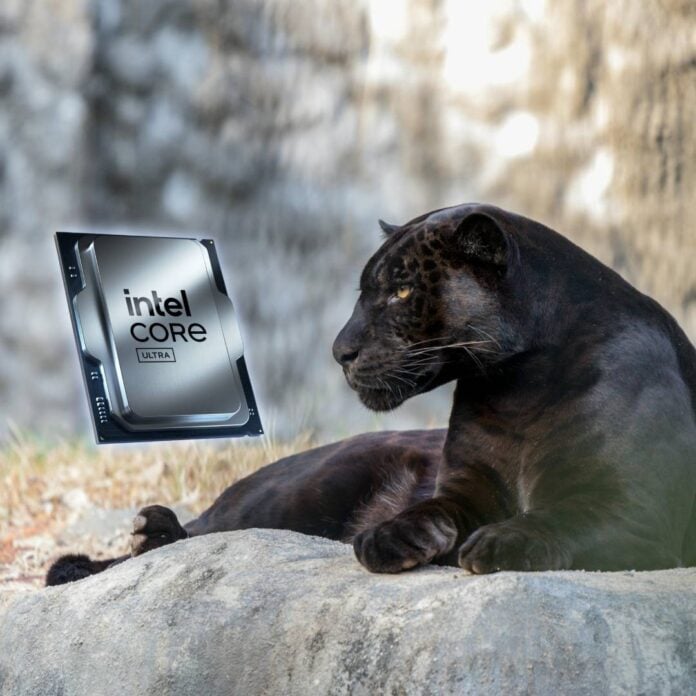 Black panther staring at a Intel Core Ultra chip