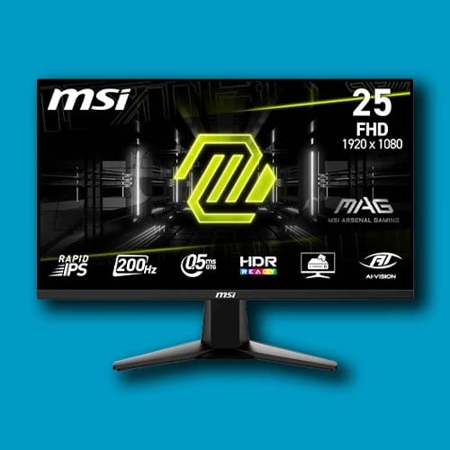 MSI MAG 255F E20
