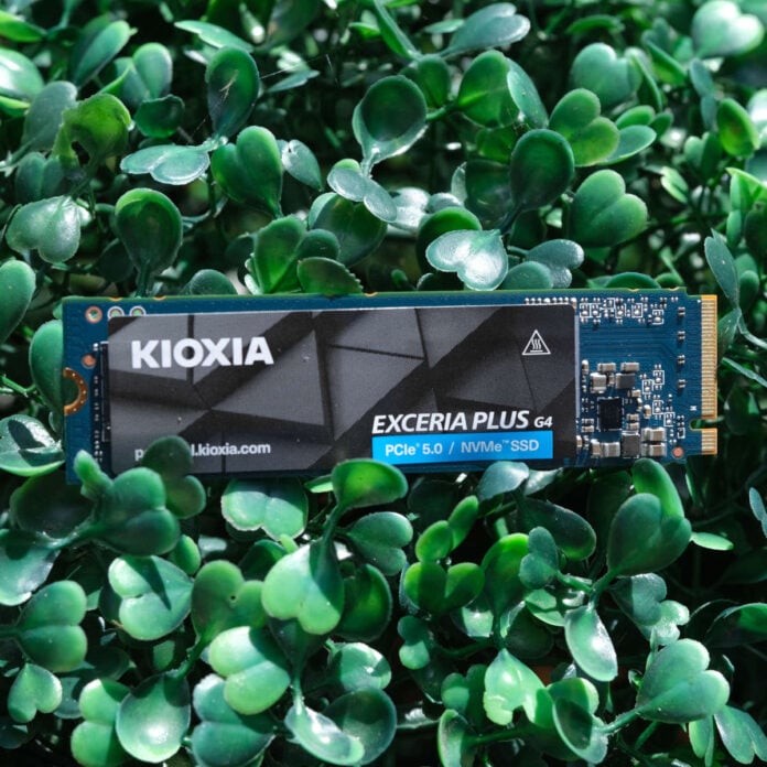 A Kioxia Exceria Plus G4 SSD, among plastic leaves.