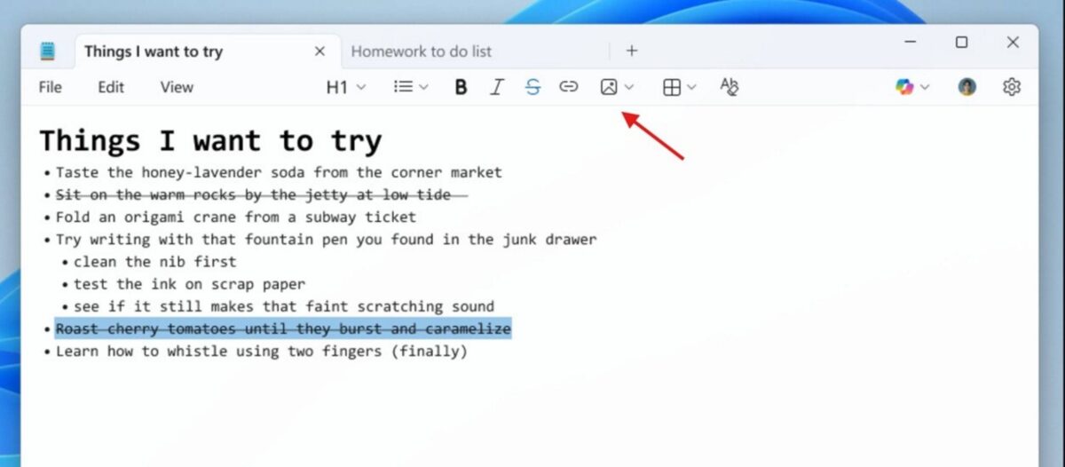Notepad image insert.