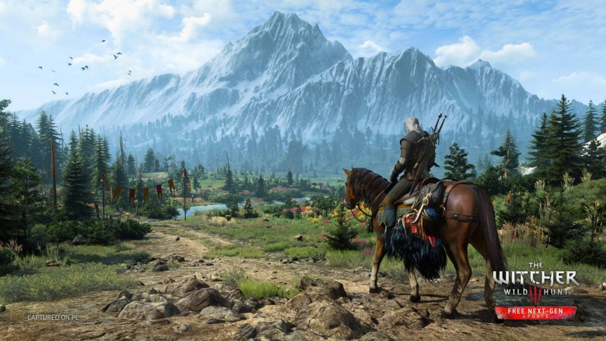 The Witcher 3 Wild Hunt.