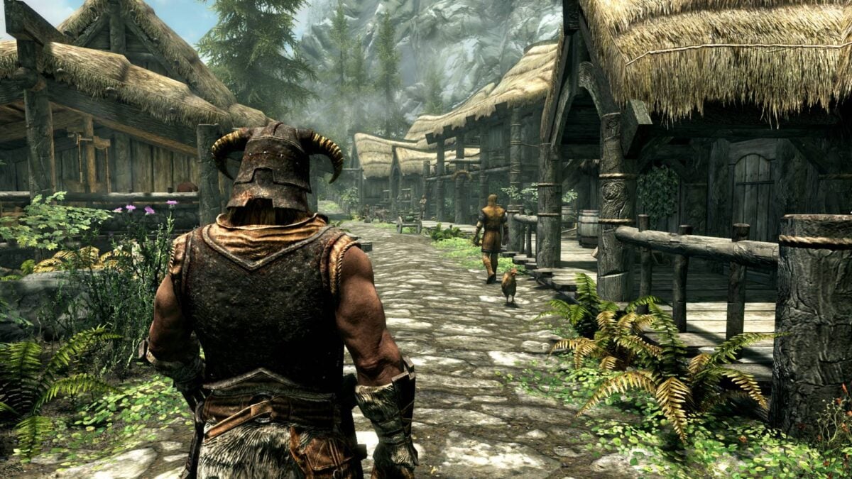 The Elder Scrolls V Skyrim.