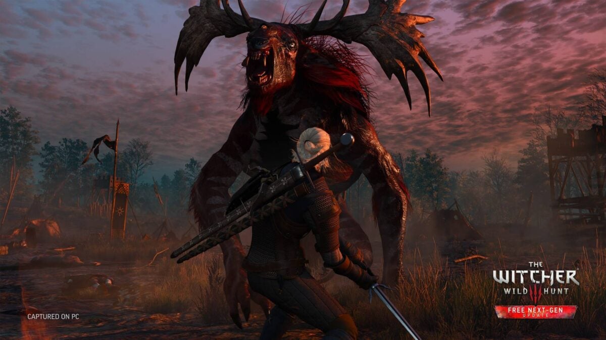 The Witcher 3 Wild Hunt.