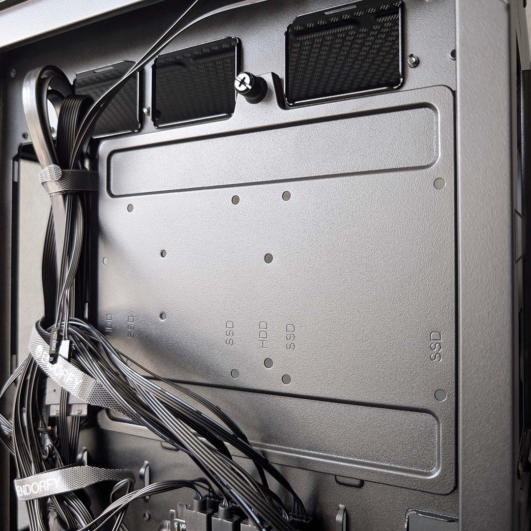 The removable plate for 2.5in and 3.5in drives, in the Fishtank 6000 Corona.