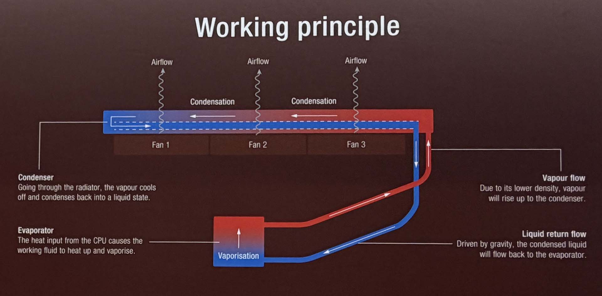 Noctua thermosiphon working principle diagram