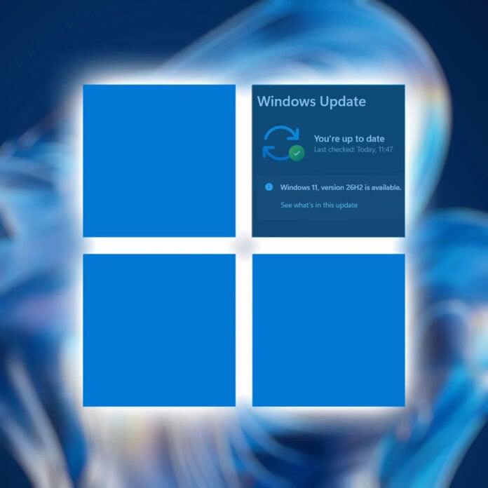 The Windows 11 logo against a blurred Bloom backdrop.